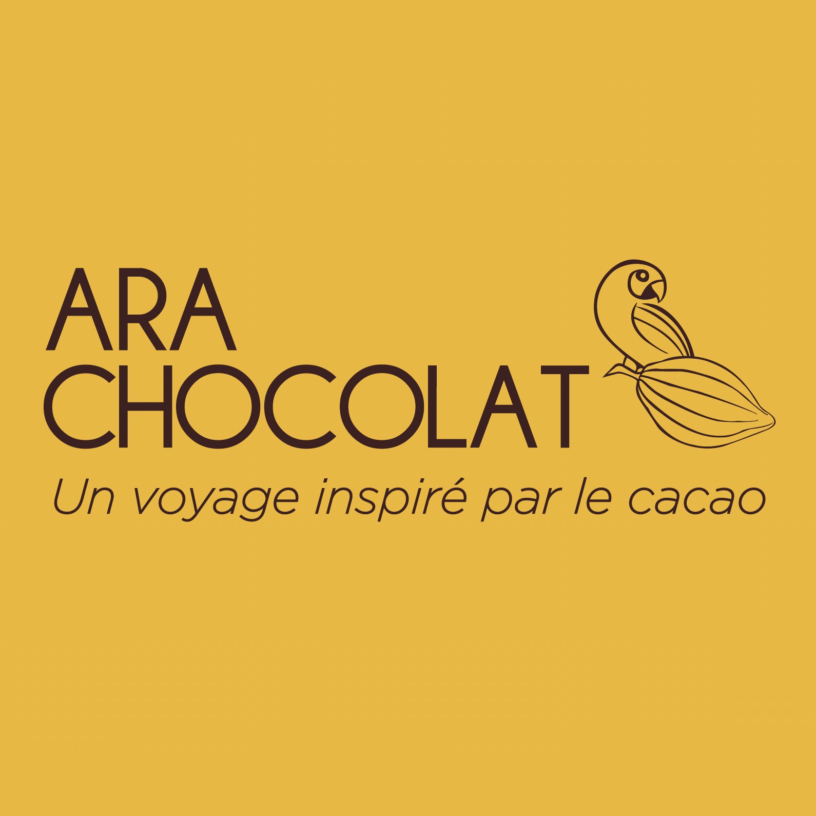 Ara Chocolat